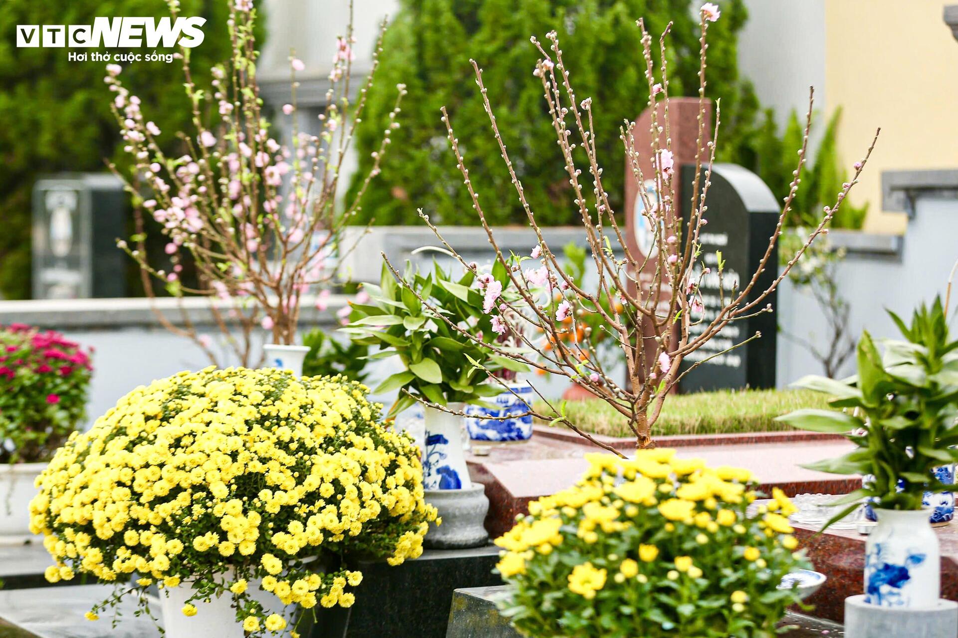 Người Hà Nội mang đào quất đi tảo mộ, mời gia tiên về ăn Tết - 14